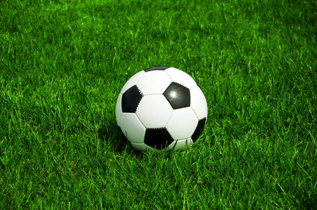 用户李女士头像